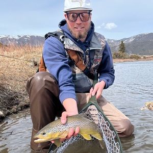 Meet your Posher, Collin